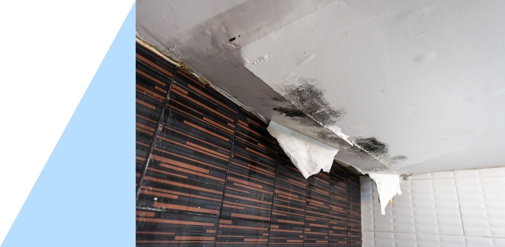 Water Damage bg