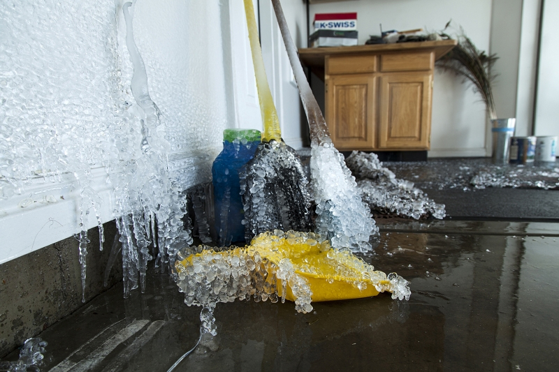 Freeze Damage Restoration